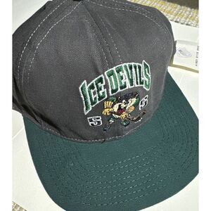 Vintage 1991 Ice Devils Tasmanian Devil Snapback Hat Cap Looney Tunes Made‎ USA